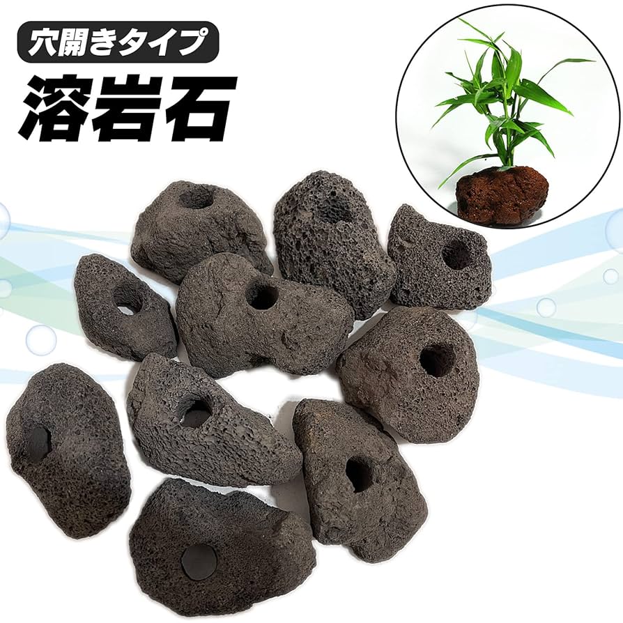 Amazon | S-NET 溶岩 石 火山 岩 水槽 穴あき オブジェ 10個